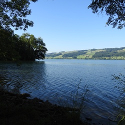 Baldeggersee